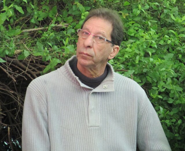 דב רייזר